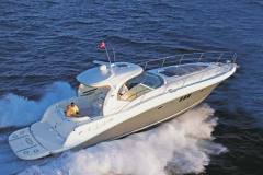 SeaRay455_1