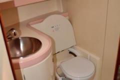 toilet